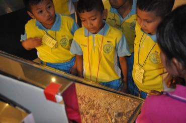 ทัศนศึกษา ระดับ ป.3 ครั้งที่2 11062559