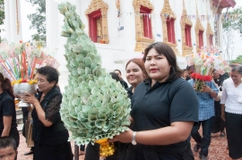 งานทอดกฐิน 05112559