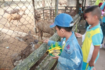 ทัศนศึกษาระดับอนุบาล 30012559